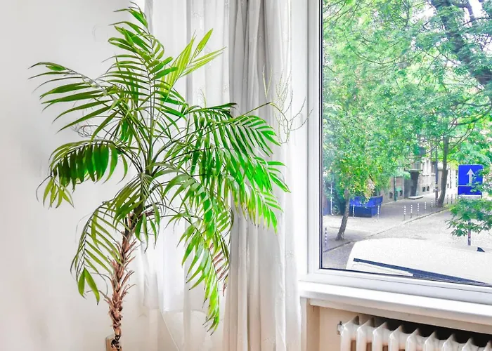 1bdr Quiet Str Vitoshka Area Ac *