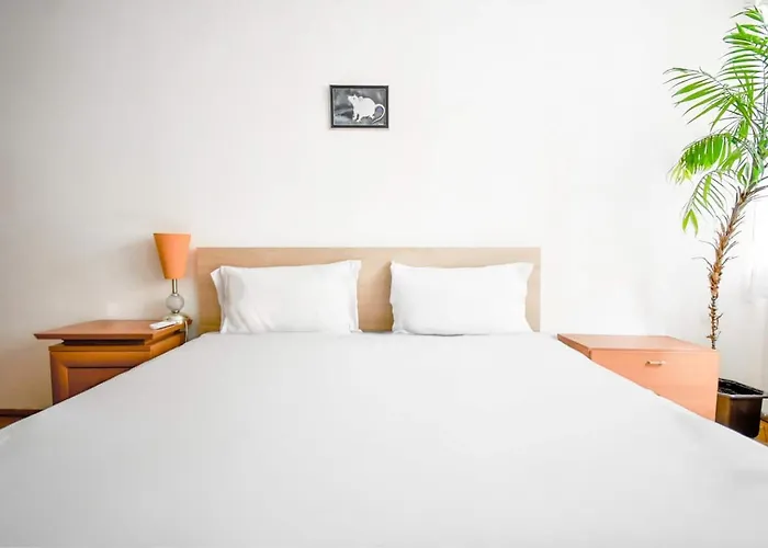 1bdr Quiet Str Vitoshka Area Ac アパート