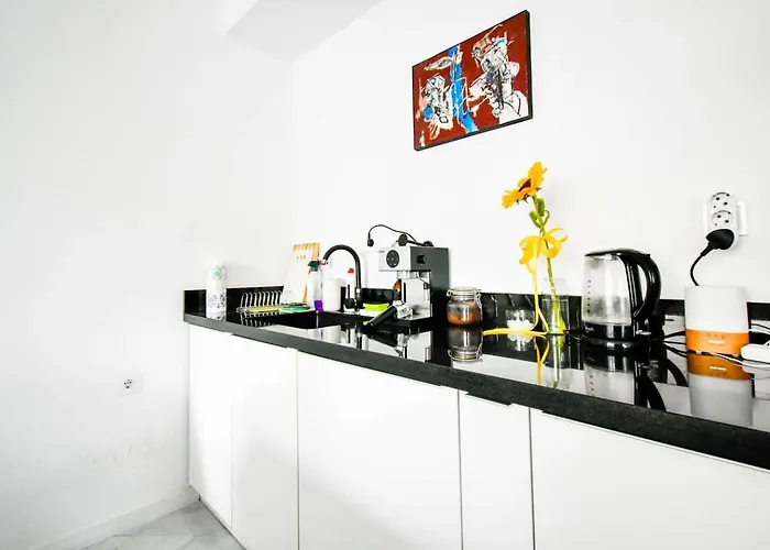 1bdr Quiet Str Vitoshka Area Ac *