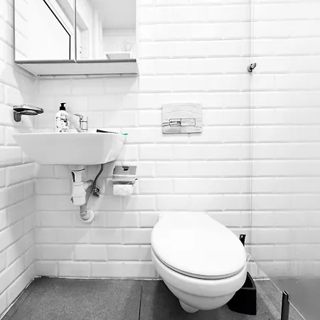 1bdr Quiet Str Vitoshka Area Ac Lejlighed Sofia