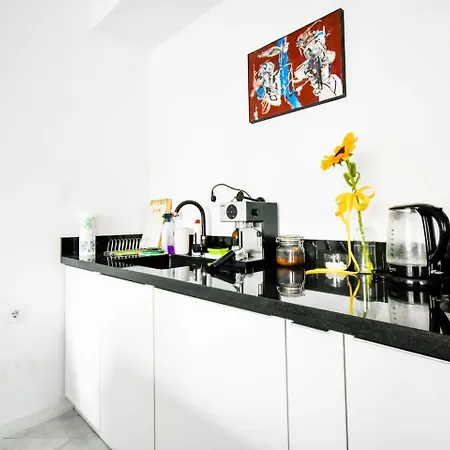 1bdr Quiet Str Vitoshka Area Ac *